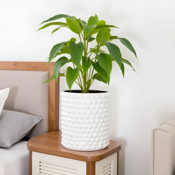 Bubble_Big_White_Ht_Ceramic_Pots_For_Indoor_Plants,_Planters,Gamla,Outdoor,Balcony,Home,Round,Garden,_Office_Decor,Succulent(H_-_15_X_D_-_13_Cm)