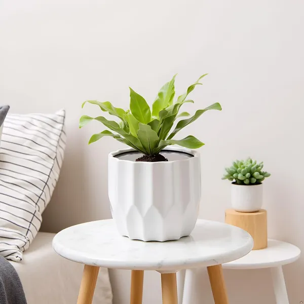 Montra_White_Ht_Ceramic_Pots_For_Indoor_Plants,_Planters,Gamla,Outdoor,Balcony,Home,Round,Garden,_Office_Decor,Succulent(H_-_10.5_X_D_-_12.5_Cm)