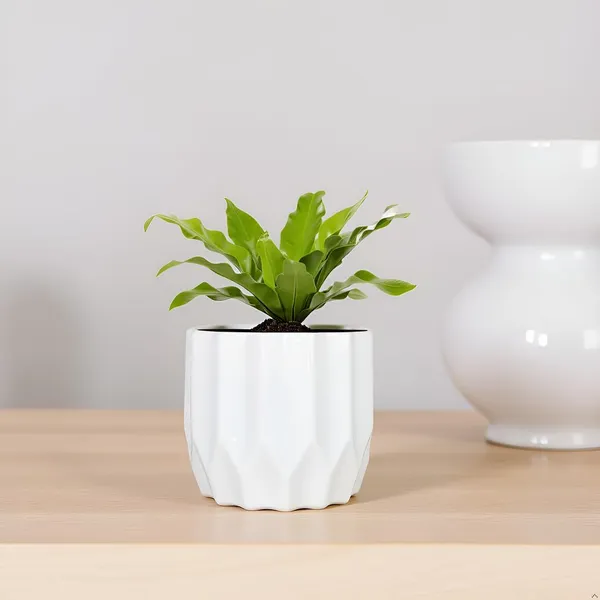 Montra_White_Ht_Ceramic_Pots_For_Indoor_Plants,_Planters,Gamla,Outdoor,Balcony,Home,Round,Garden,_Office_Decor,Succulent(H_-_10.5_X_D_-_12.5_Cm)