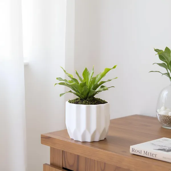 Montra_White_Ht_Ceramic_Pots_For_Indoor_Plants,_Planters,Gamla,Outdoor,Balcony,Home,Round,Garden,_Office_Decor,Succulent(H_-_10.5_X_D_-_12.5_Cm)