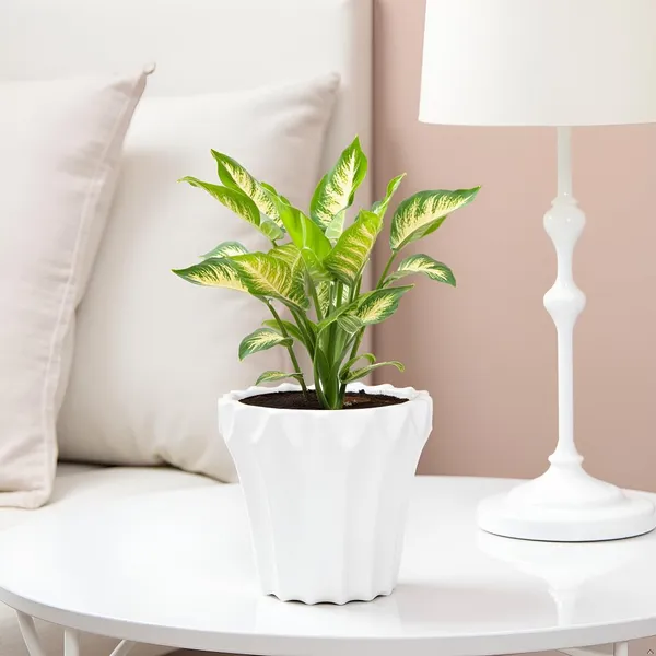 Flory_White_Ht_Ceramic_Pots_For_Indoor_Plants,_Planters,Gamla,Outdoor,Balcony,Home,Round,Garden,_Office_Decor,Succulent(H_-_14_X_D_-_15_Cm)