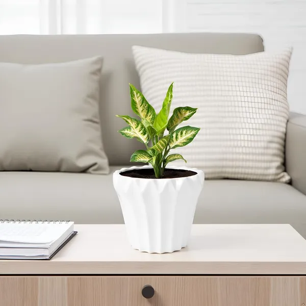 Flory_White_Ht_Ceramic_Pots_For_Indoor_Plants,_Planters,Gamla,Outdoor,Balcony,Home,Round,Garden,_Office_Decor,Succulent(H_-_14_X_D_-_15_Cm)