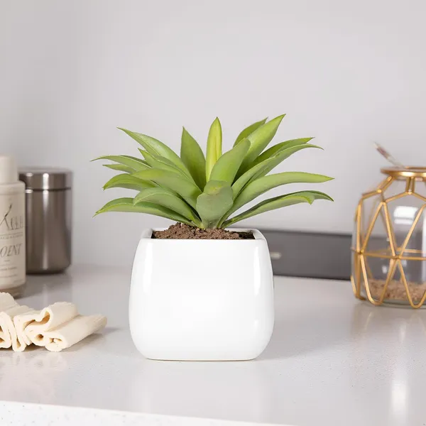 Nebi_White_Ht_Ceramic_Pots_For_Indoor_Plants,_Planters,Gamla,Outdoor,Balcony,Home,Round,Garden,_Office_Decor,Succulent(L_-_9.5_X_W_-_9.5_X_H_-_8_Cm)