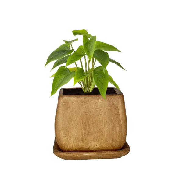 Nebi_Antique_With_Plate_Antique_Ceramic_Pots_For_Indoor_Plants,Planters,Flower,Gamla,Outdoor(Pot-D-9.5_X_H-8.5Cm,Plate-L-10_Xh-1.5_Cm)