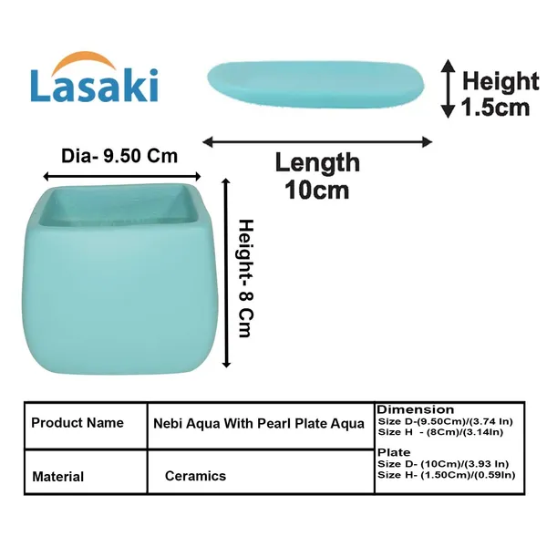 Nebi_Aqua_With_Plate_Aqua_Ceramic_Pots_For_Indoor_Plants,Planters,Flower,Gamla,Outdoor(Pot-D-9.5_X_H-8.5Cm,Plate-L-10_Xh-1.5_Cm)
