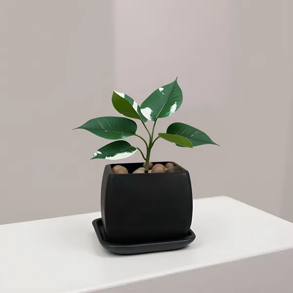 Nebi_Black_With_Plate_Black_Ceramic_Pots_For_Indoor_Plants,Planters,Flower,Gamla,Outdoor(Pot-D-9.5_X_H-8.5Cm,Plate-L-10_Xh-1.5_Cm)