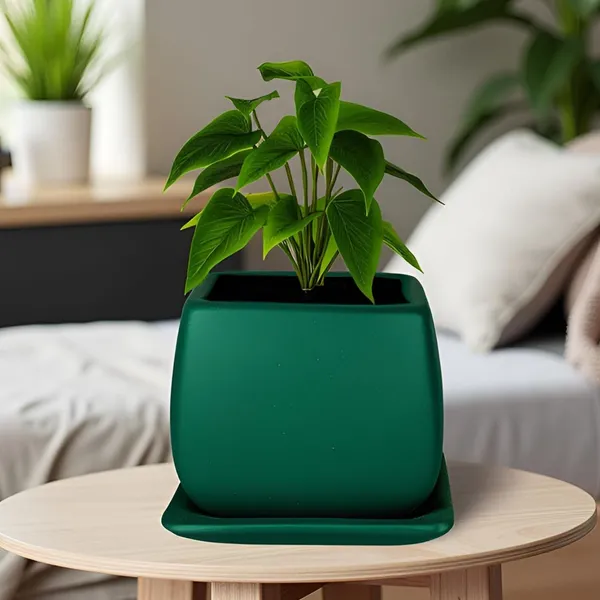 Nebi_Deep_Jungle_With_Plate_Deep_Jungle_Ceramic_Pots_For_Indoor_Plants,Planters,Flower,Gamla,Outdoor(Pot-D-9.5_X_H-8.5Cm,Plate-L-10_Xh-1.5_Cm)