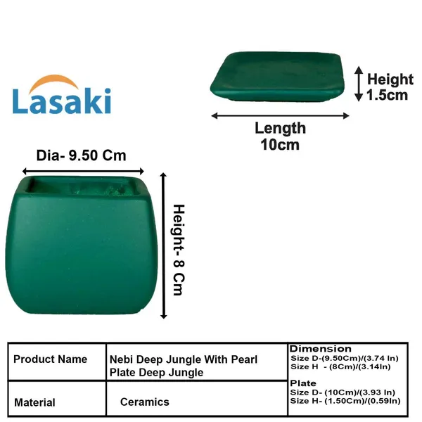 Nebi_Deep_Jungle_With_Plate_Deep_Jungle_Ceramic_Pots_For_Indoor_Plants,Planters,Flower,Gamla,Outdoor(Pot-D-9.5_X_H-8.5Cm,Plate-L-10_Xh-1.5_Cm)