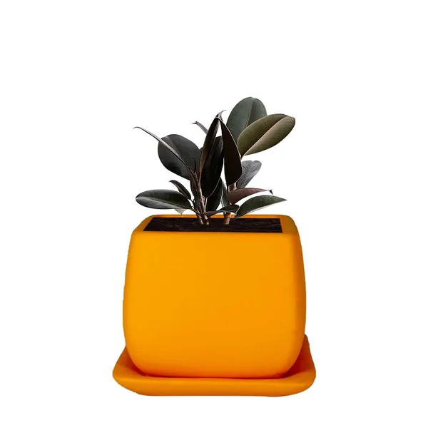 Nebi_Lily_With_Plate_Lily_Ceramic_Pots_For_Indoor_Plants,Planters,Flower,Gamla,Outdoor(Pot-D-9.5_X_H-8.5Cm,Plate-L-10_Xh-1.5_Cm)