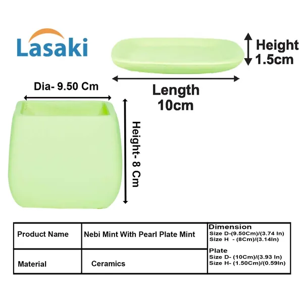 Nebi_Mint_With_Plate_Mint_Ceramic_Pots_For_Indoor_Plants,Planters,Flower,Gamla,Outdoor(Pot-D-9.5_X_H-8.5Cm,Plate-L-10_Xh-1.5_Cm)