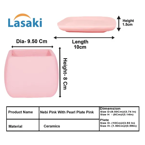Nebi_Pink_With_Plate_Pink_Ceramic_Pots_For_Indoor_Plants,Planters,Flower,Gamla,Outdoor(Pot-D-9.5_X_H-8.5Cm,Plate-L-10_Xh-1.5_Cm)