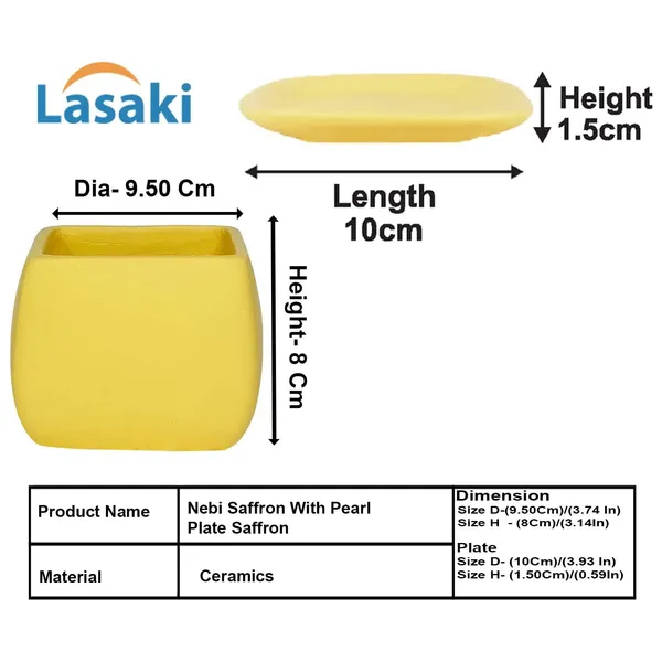 Nebi_Saffron_With_Plate_Saffron_Ceramic_Pots_For_Indoor_Plants,Planters,Flower,Gamla,Outdoor(Pot-D-9.5_X_H-8.5Cm,Plate-L-10_Xh-1.5_Cm)