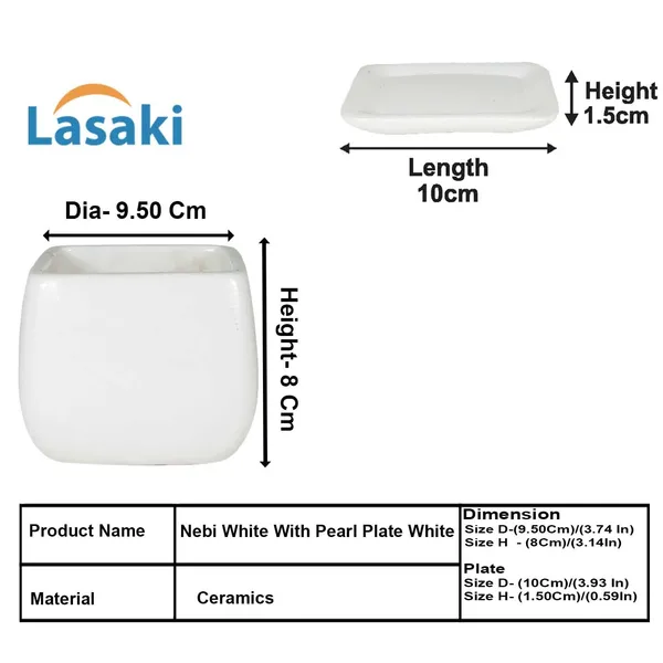 Nebi_White_With_Plate_White_Ceramic_Pots_For_Indoor_Plants,Planters,Flower,Gamla,Outdoor(Pot-D-9.5_X_H-8.5Cm,Plate-L-10_Xh-1.5_Cm)