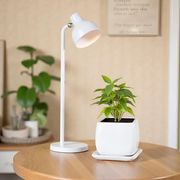 Nebi_White_With_Plate_White_Ceramic_Pots_For_Indoor_Plants,Planters,Flower,Gamla,Outdoor(Pot-D-9.5_X_H-8.5Cm,Plate-L-10_Xh-1.5_Cm)