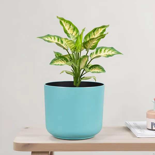 Orin_6D_Aqua_Ceramic_Pots_For_Indoor_Plants,_Planters,Gamla,Outdoor,Balcony,Home,Round,Garden,_Office_Decor,Succulent(H_-_13.5_X_D_-_15.5_Cm)