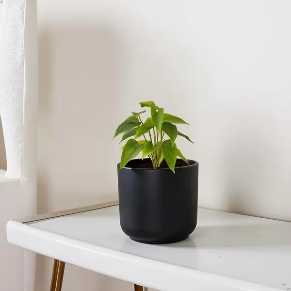 Orin_6D_Black_Ceramic_Pots_For_Indoor_Plants,_Planters,Gamla,Outdoor,Balcony,Home,Round,Garden,_Office_Decor,Succulent(H_-_13.5_X_D_-_15.5_Cm)
