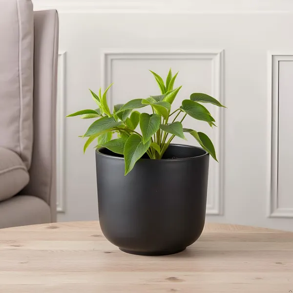 Orin_6D_Black_Ceramic_Pots_For_Indoor_Plants,_Planters,Gamla,Outdoor,Balcony,Home,Round,Garden,_Office_Decor,Succulent(H_-_13.5_X_D_-_15.5_Cm)