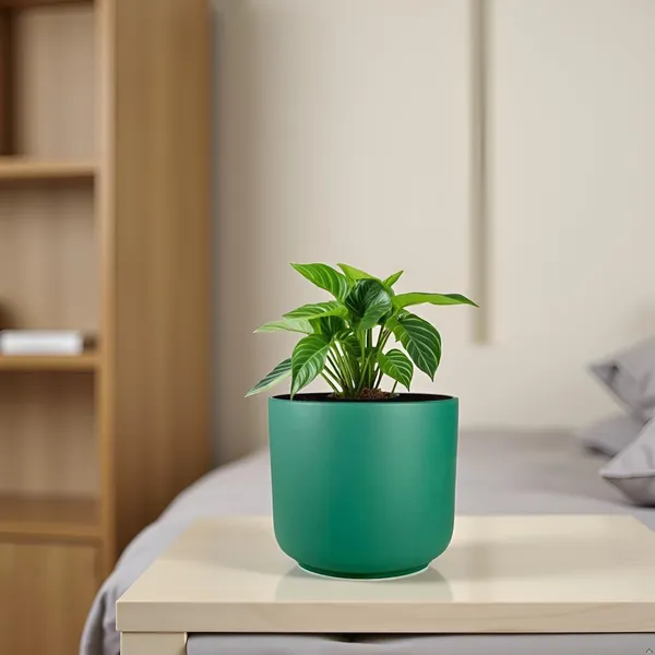 Orin_6D_Deep_Jungle_Ceramic_Pots_For_Indoor_Plants,_Planters,Gamla,Outdoor,Balcony,Home,Round,Garden,_Office_Decor,Succulent(H_-_13.5_X_D_-_15.5_Cm)