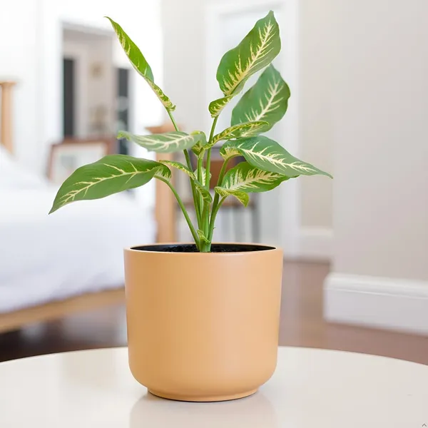 Orin_6D_Ginger_Ceramic_Pots_For_Indoor_Plants,_Planters,Gamla,Outdoor,Balcony,Home,Round,Garden,_Office_Decor,Succulent(H_-_13.5_X_D_-_15.5_Cm)