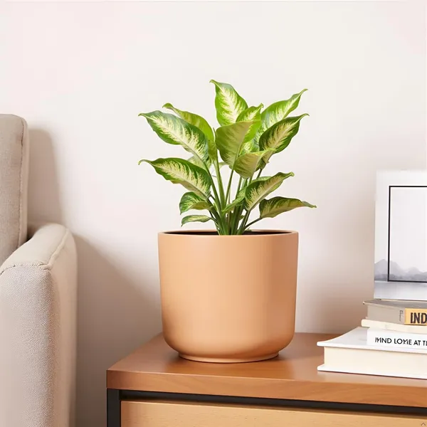 Orin_6D_Ginger_Ceramic_Pots_For_Indoor_Plants,_Planters,Gamla,Outdoor,Balcony,Home,Round,Garden,_Office_Decor,Succulent(H_-_13.5_X_D_-_15.5_Cm)
