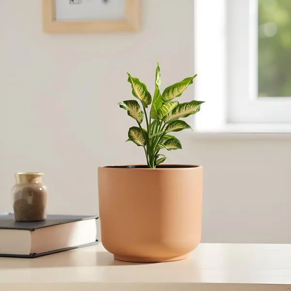 Orin_6D_Ginger_Ceramic_Pots_For_Indoor_Plants,_Planters,Gamla,Outdoor,Balcony,Home,Round,Garden,_Office_Decor,Succulent(H_-_13.5_X_D_-_15.5_Cm)