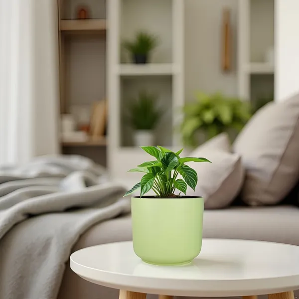 Orin_6D_Mint_Ceramic_Pots_For_Indoor_Plants,_Planters,Gamla,Outdoor,Balcony,Home,Round,Garden,_Office_Decor,Succulent(H_-_13.5_X_D_-_15.5_Cm)