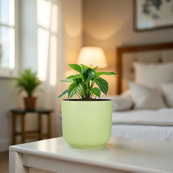 Orin_6D_Mint_Ceramic_Pots_For_Indoor_Plants,_Planters,Gamla,Outdoor,Balcony,Home,Round,Garden,_Office_Decor,Succulent(H_-_13.5_X_D_-_15.5_Cm)