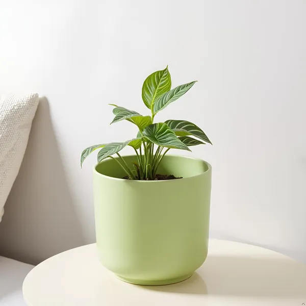 Orin_6D_Mint_Ceramic_Pots_For_Indoor_Plants,_Planters,Gamla,Outdoor,Balcony,Home,Round,Garden,_Office_Decor,Succulent(H_-_13.5_X_D_-_15.5_Cm)