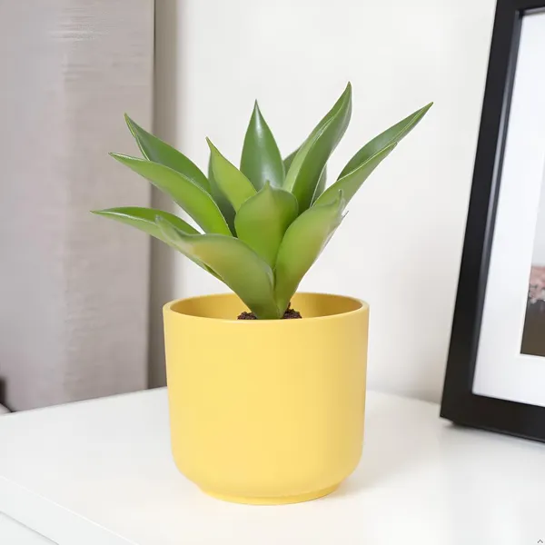 Orin_6D_Saffron_Ceramic_Pots_For_Indoor_Plants,_Planters,Gamla,Outdoor,Balcony,Home,Round,Garden,_Office_Decor,Succulent(H_-_13.5_X_D_-_15.5_Cm)
