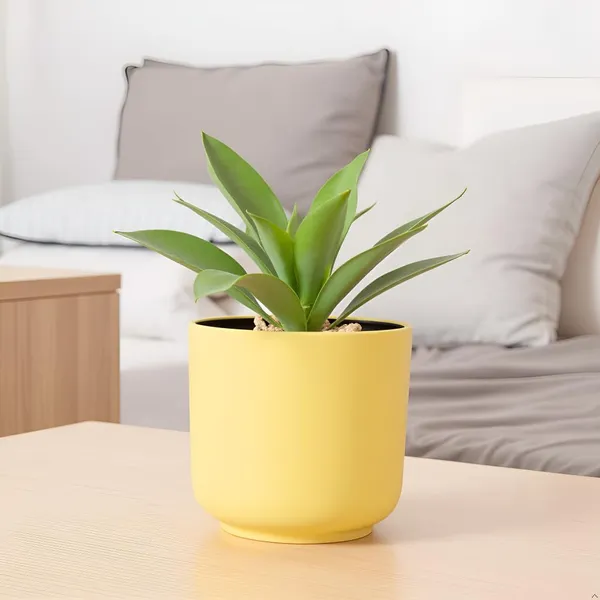 Orin_6D_Saffron_Ceramic_Pots_For_Indoor_Plants,_Planters,Gamla,Outdoor,Balcony,Home,Round,Garden,_Office_Decor,Succulent(H_-_13.5_X_D_-_15.5_Cm)