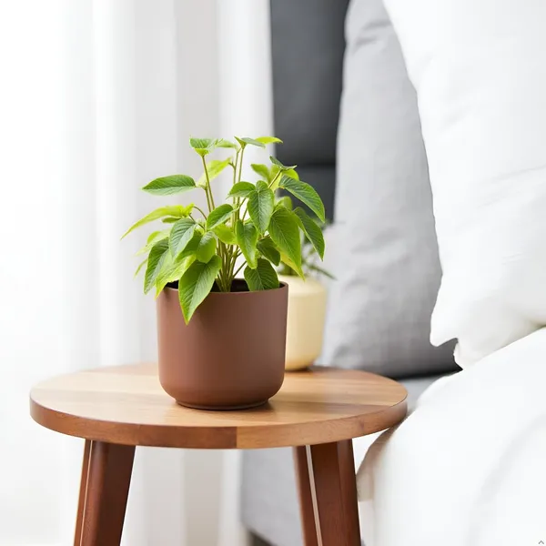 Orin_6D_Truffle_Ceramic_Pots_For_Indoor_Plants,_Planters,Gamla,Outdoor,Balcony,Home,Round,Garden,_Office_Decor,Succulent(H_-_13.5_X_D_-_15.5_Cm)