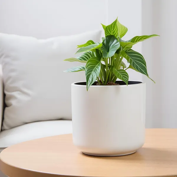 Orin_6D_White_Ceramic_Pots_For_Indoor_Plants,_Planters,Gamla,Outdoor,Balcony,Home,Round,Garden,_Office_Decor,Succulent(H_-_13.5_X_D_-_15.5_Cm)