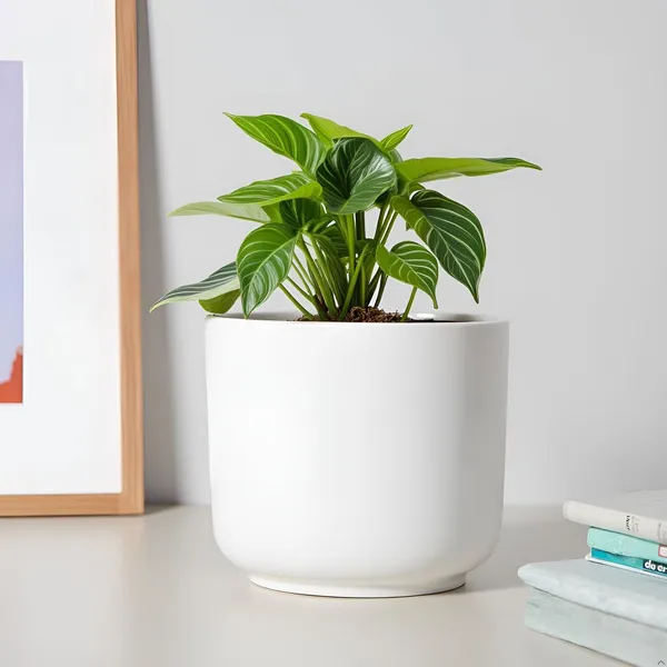 Orin_6D_White_Ceramic_Pots_For_Indoor_Plants,_Planters,Gamla,Outdoor,Balcony,Home,Round,Garden,_Office_Decor,Succulent(H_-_13.5_X_D_-_15.5_Cm)