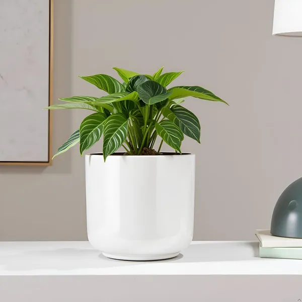 Orin_6D_White_Ceramic_Pots_For_Indoor_Plants,_Planters,Gamla,Outdoor,Balcony,Home,Round,Garden,_Office_Decor,Succulent(H_-_13.5_X_D_-_15.5_Cm)