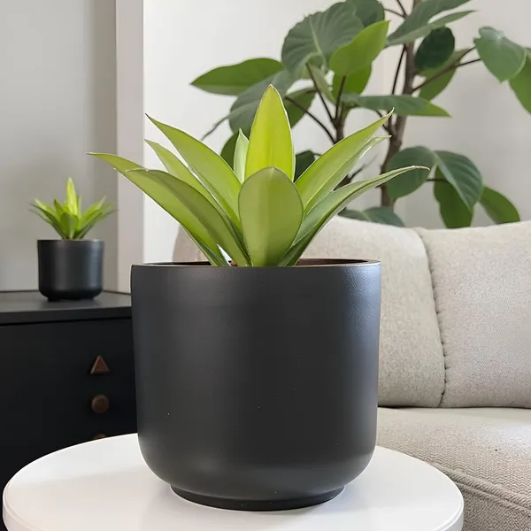Orin_6D_Black_Gold_Ceramic_Pots_For_Indoor_Plants,_Planters,Gamla,Outdoor,Balcony,Home,Round,Garden,_Office_Decor,Succulent(H_-_13.5_X_D_-_15.5_Cm)