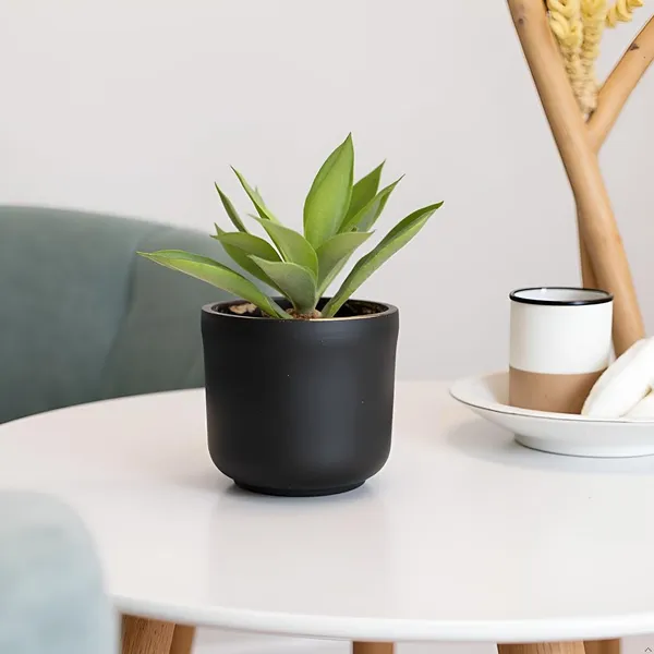 Orin_6D_Black_Gold_Ceramic_Pots_For_Indoor_Plants,_Planters,Gamla,Outdoor,Balcony,Home,Round,Garden,_Office_Decor,Succulent(H_-_13.5_X_D_-_15.5_Cm)