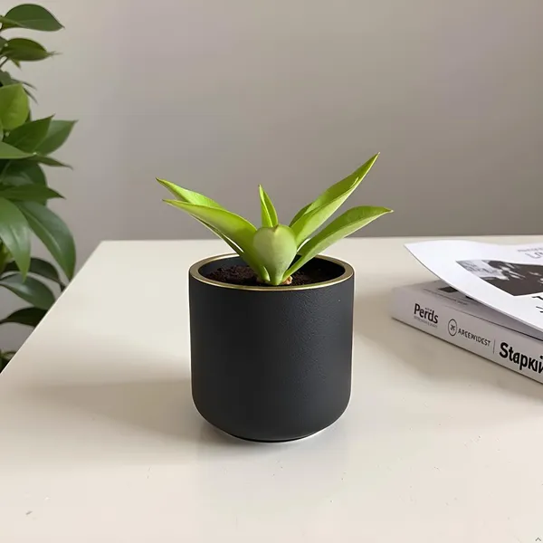 Orin_6D_Black_Gold_Ceramic_Pots_For_Indoor_Plants,_Planters,Gamla,Outdoor,Balcony,Home,Round,Garden,_Office_Decor,Succulent(H_-_13.5_X_D_-_15.5_Cm)