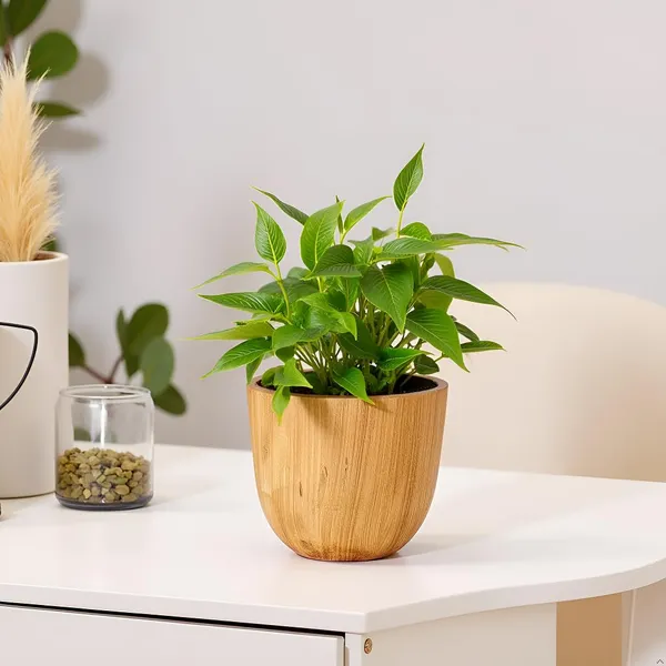 Avani_4.5D_Antique_Ceramic_Pots_For_Indoor_Plants,_Planters,Gamla,Outdoor,Balcony,Home,Round,Garden,_Office_Decor,Succulent(H_-_9_X_D_-_11.5_Cm)