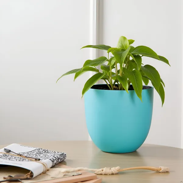 Avani_4.5D_Aqua_Ceramic_Pots_For_Indoor_Plants,_Planters,Gamla,Outdoor,Balcony,Home,Round,Garden,_Office_Decor,Succulent(H_-_9_X_D_-_11.5_Cm)