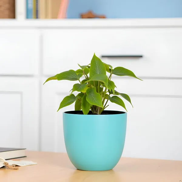 Avani_4.5D_Aqua_Ceramic_Pots_For_Indoor_Plants,_Planters,Gamla,Outdoor,Balcony,Home,Round,Garden,_Office_Decor,Succulent(H_-_9_X_D_-_11.5_Cm)
