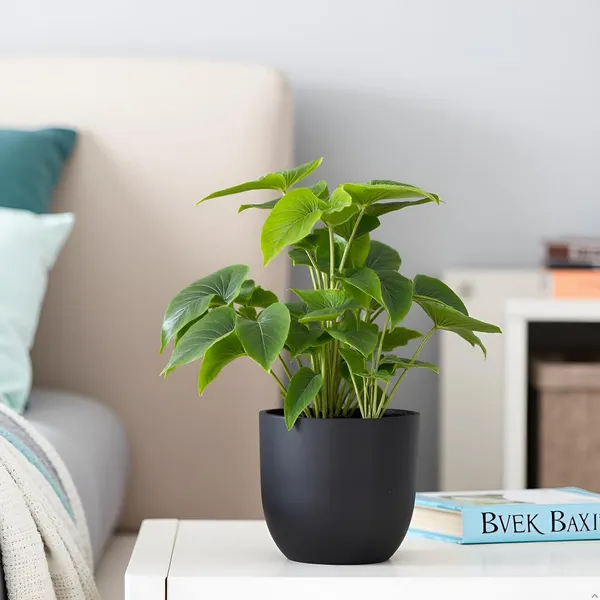 Avani_4.5D_Black_Ceramic_Pots_For_Indoor_Plants,_Planters,Gamla,Outdoor,Balcony,Home,Round,Garden,_Office_Decor,Succulent(H_-_9_X_D_-_11.5_Cm)