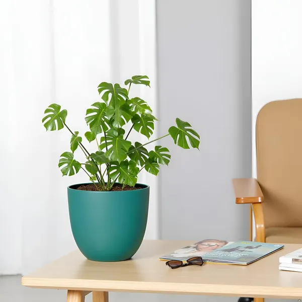Avani_4.5D_Deep_Jungle_Ceramic_Pots_For_Indoor_Plants,_Planters,Gamla,Outdoor,Balcony,Home,Round,Garden,_Office_Decor,Succulent(H_-_9_X_D_-_11.5_Cm)