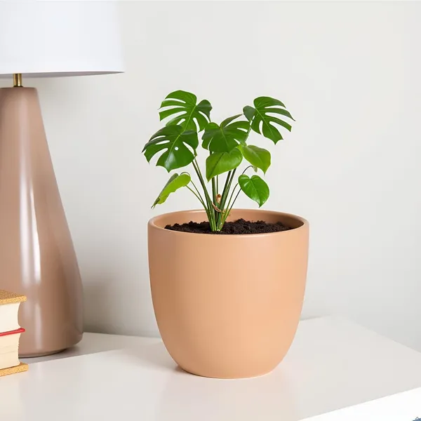 Avani_4.5D_Ginger_Ceramic_Pots_For_Indoor_Plants,_Planters,Gamla,Outdoor,Balcony,Home,Round,Garden,_Office_Decor,Succulent(H_-_9_X_D_-_11.5_Cm)