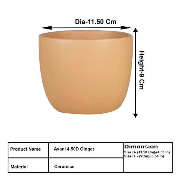 Avani_4.5D_Ginger_Ceramic_Pots_For_Indoor_Plants,_Planters,Gamla,Outdoor,Balcony,Home,Round,Garden,_Office_Decor,Succulent(H_-_9_X_D_-_11.5_Cm)