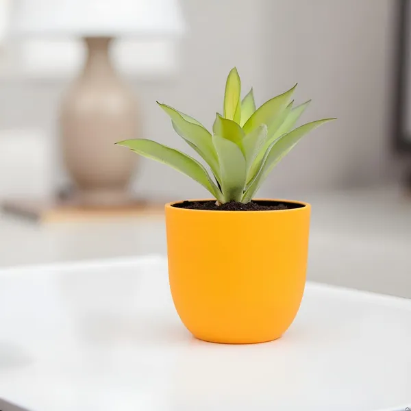 Avani_4.5D_Lily_Ceramic_Pots_For_Indoor_Plants,_Planters,Gamla,Outdoor,Balcony,Home,Round,Garden,_Office_Decor,Succulent(H_-_9_X_D_-_11.5_Cm)