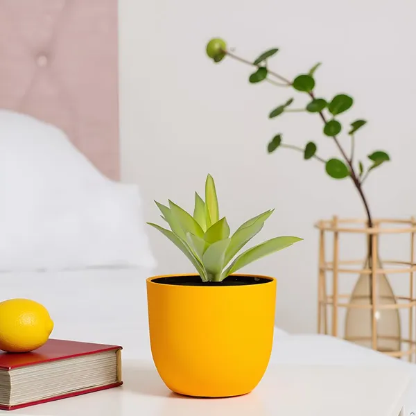 Avani_4.5D_Lily_Ceramic_Pots_For_Indoor_Plants,_Planters,Gamla,Outdoor,Balcony,Home,Round,Garden,_Office_Decor,Succulent(H_-_9_X_D_-_11.5_Cm)