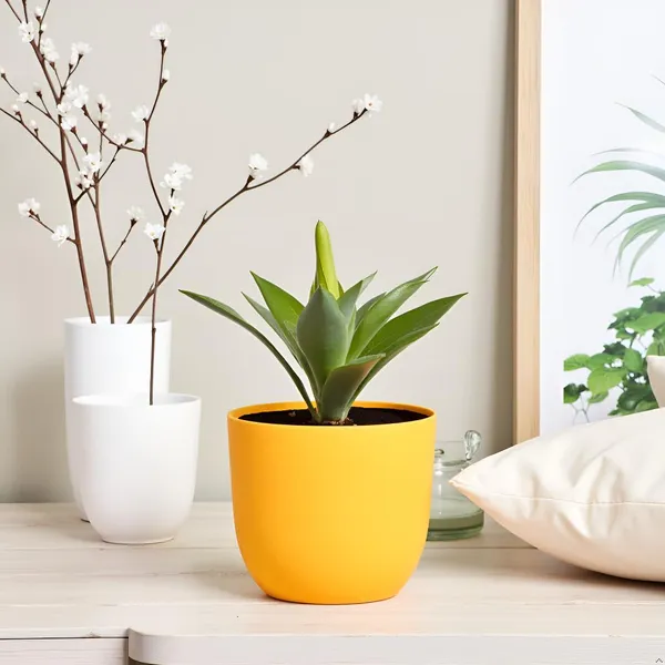 Avani_4.5D_Lily_Ceramic_Pots_For_Indoor_Plants,_Planters,Gamla,Outdoor,Balcony,Home,Round,Garden,_Office_Decor,Succulent(H_-_9_X_D_-_11.5_Cm)