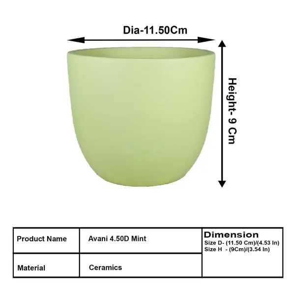 Avani_4.5D_Mint_Ceramic_Pots_For_Indoor_Plants,_Planters,Gamla,Outdoor,Balcony,Home,Round,Garden,_Office_Decor,Succulent(H_-_9_X_D_-_11.5_Cm)