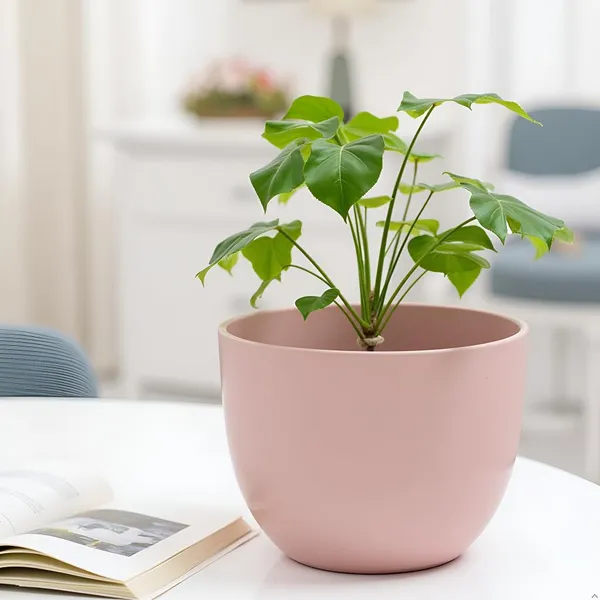 Avani_4.5D_Pink_Ceramic_Pots_For_Indoor_Plants,_Planters,Gamla,Outdoor,Balcony,Home,Round,Garden,_Office_Decor,Succulent(H_-_9_X_D_-_11.5_Cm)