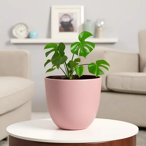 Avani_4.5D_Pink_Ceramic_Pots_For_Indoor_Plants,_Planters,Gamla,Outdoor,Balcony,Home,Round,Garden,_Office_Decor,Succulent(H_-_9_X_D_-_11.5_Cm)